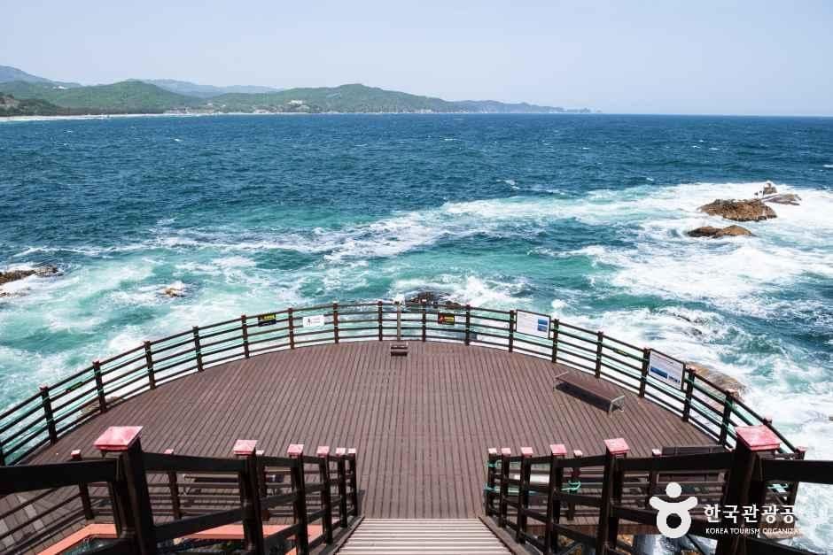 강원_삼척_초곡용굴촛대바위_외부_3.jpg