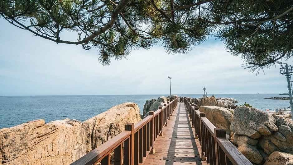 고성_능파대 (강원평화지역 국가지질공원) (5)