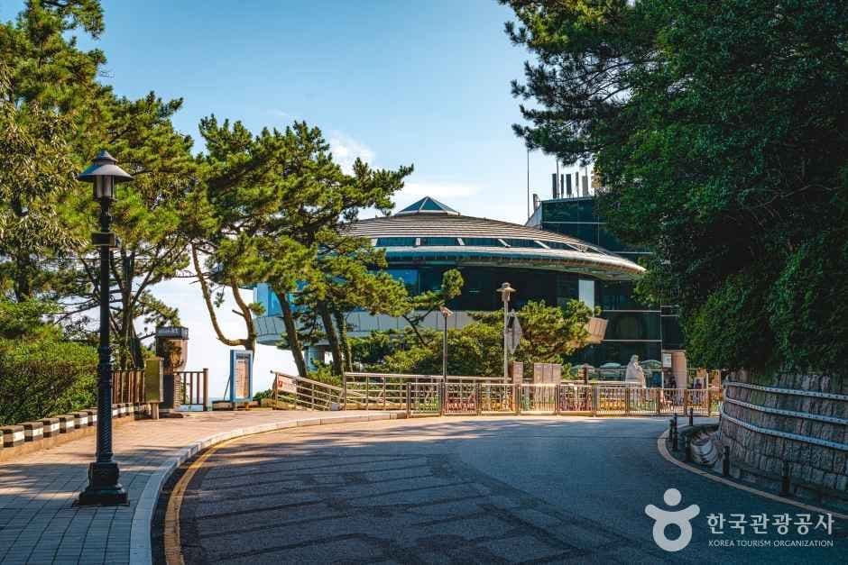 태종대