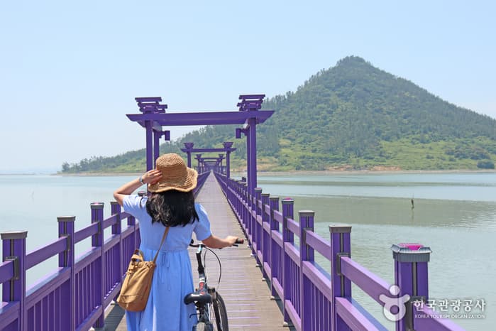 전남_신안_1보 3컷 인생샷 성지, 보라색 파도치는 반월도·박지도_10