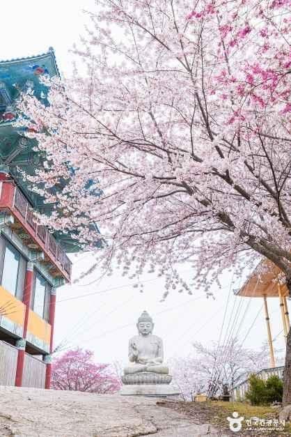 충남_태안_안면암_5.jpg