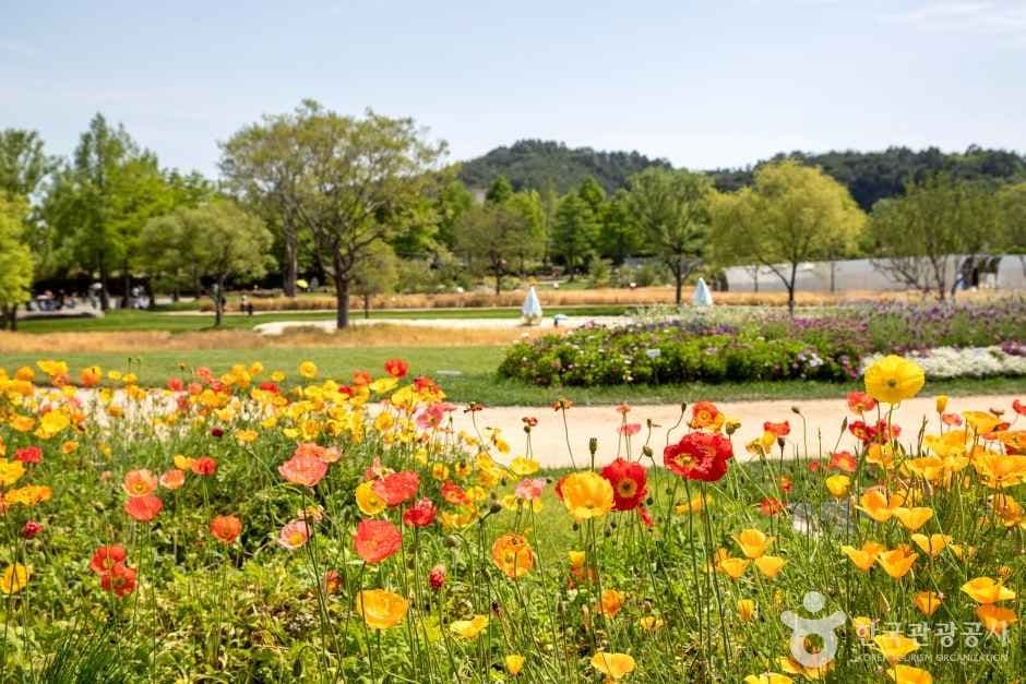 순천만국가정원 (9)