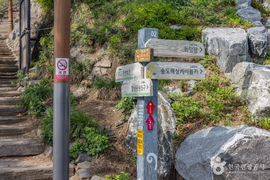 부산_부산 암남공원 (5)