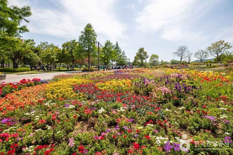 순천만국가정원 (10)