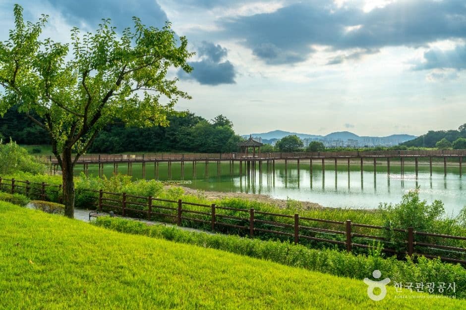 원주_행구수변공원 (2)