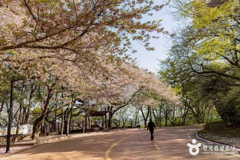 인천_중구_월미산 월미공원 (10)