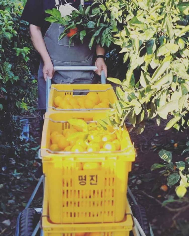 서귀포_  나무와열매 체험농장 (10)