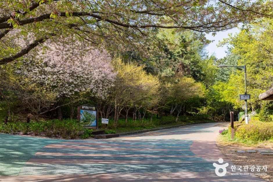 인천_중구_월미산 월미공원 (1)