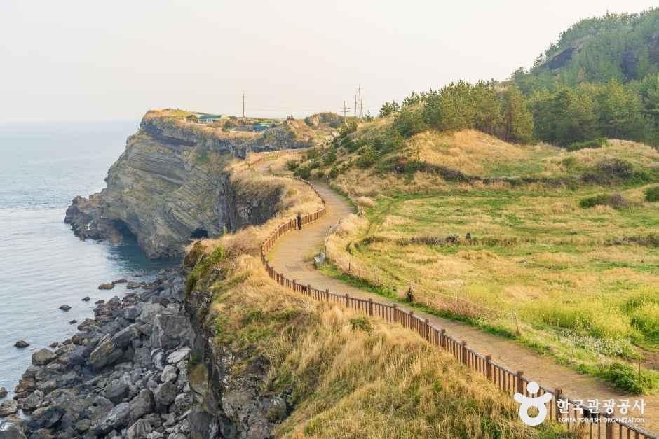 서귀포_송악산둘레길 (1).jpg