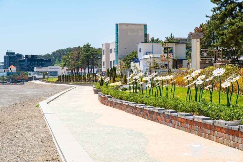 울산_북구_강동몽돌해변(정자해변)_외부_5.jpg