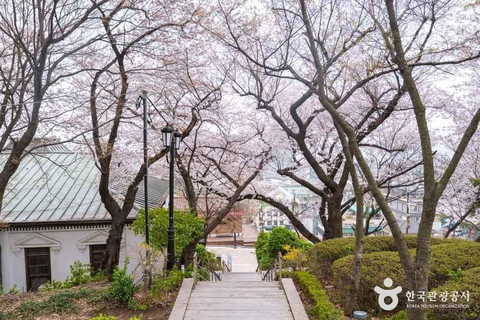 인천_중구_자유공원_외부_2.jpg