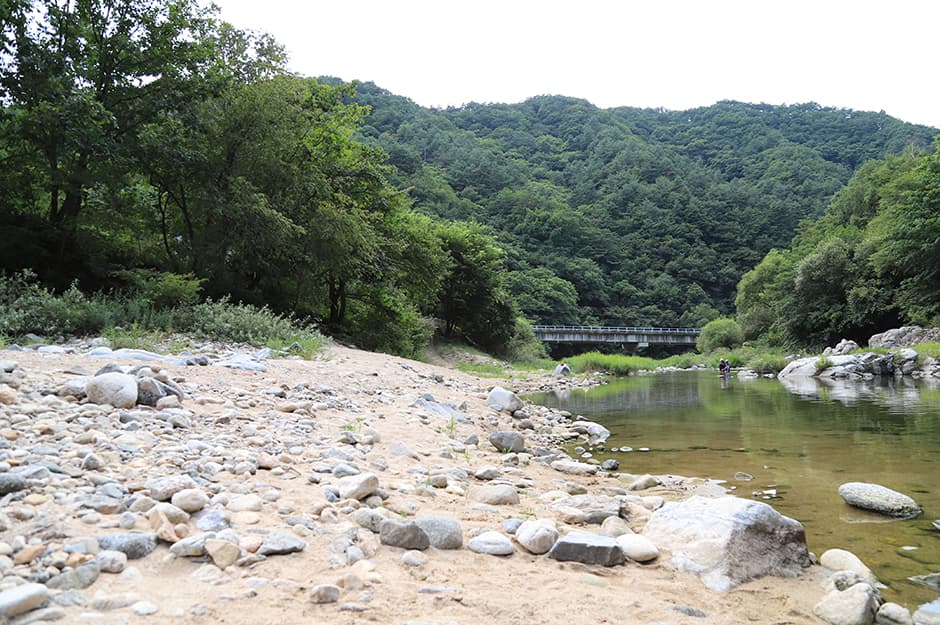 강원도_인제군_반디하우스캠핑장_계곡