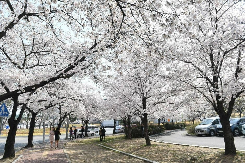 동촌유원지 (3)