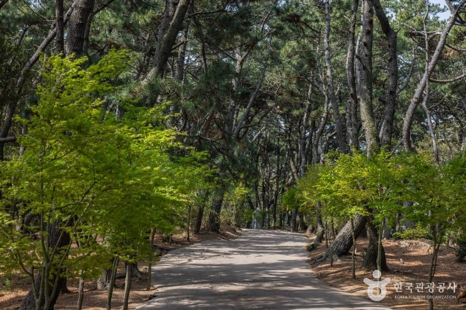부산_부산 암남공원 (11)