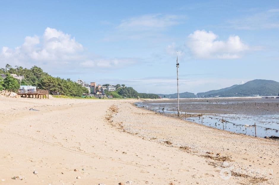 인천_영종도 마시안해변 (6)