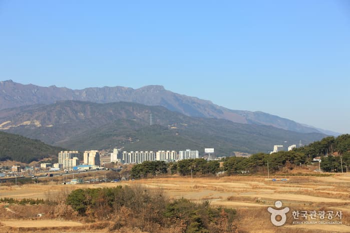 영축산_013