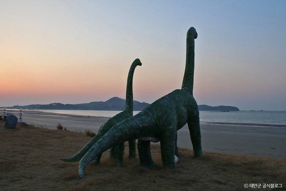 태안_신두리해수욕장 (2)