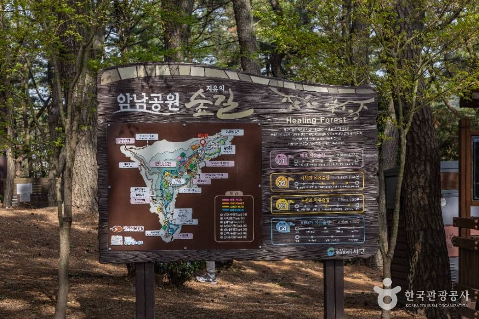부산_부산 암남공원 (12)
