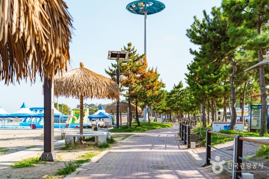 경주_나정고운모래해변 (3)