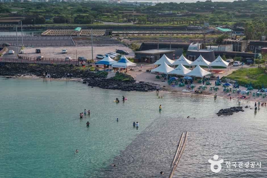 제주_제주신흥해수욕장 (3).jpg