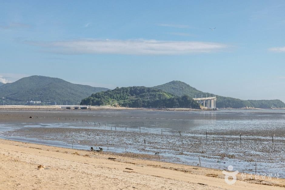 인천_영종도 마시안해변 (8)
