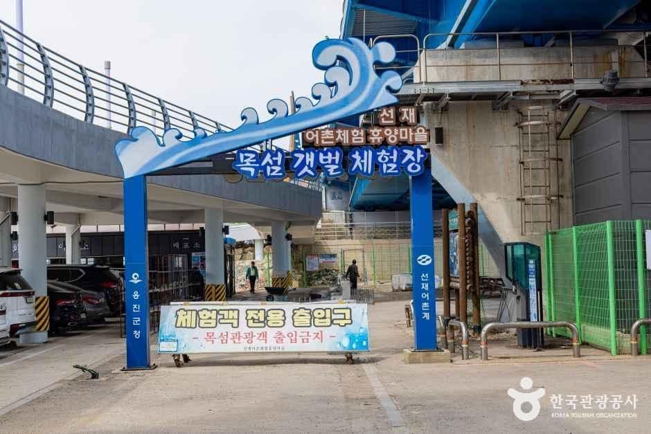 인천_옹진_선재도(선재도 어촌체험마을) (10)