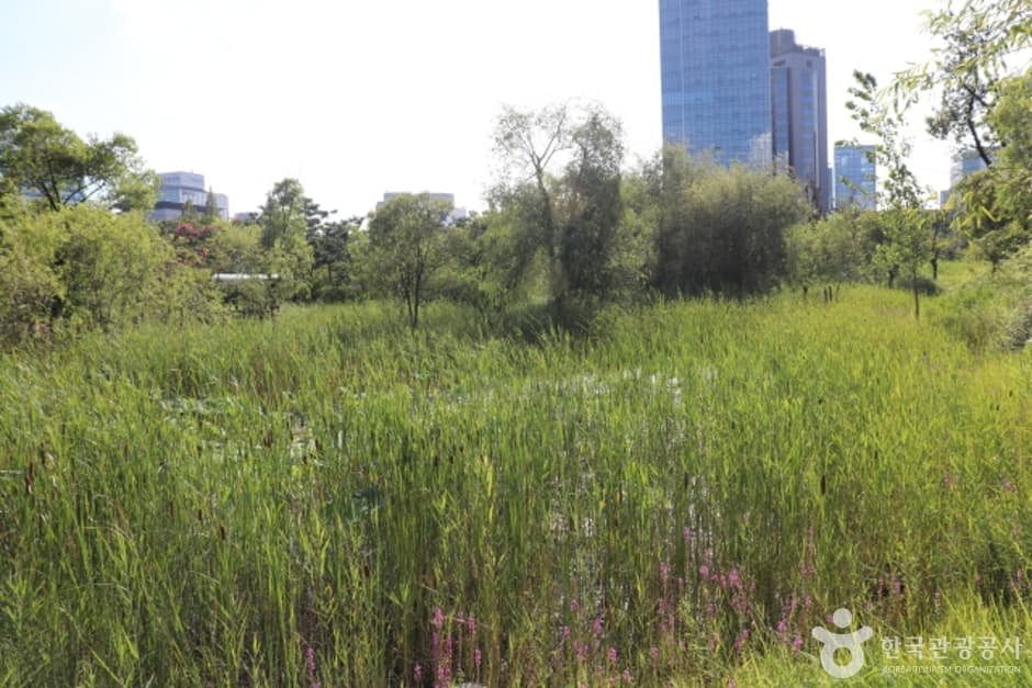 정부대전청사 자연마당 (8)