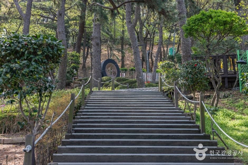부산_부산 암남공원 (14)