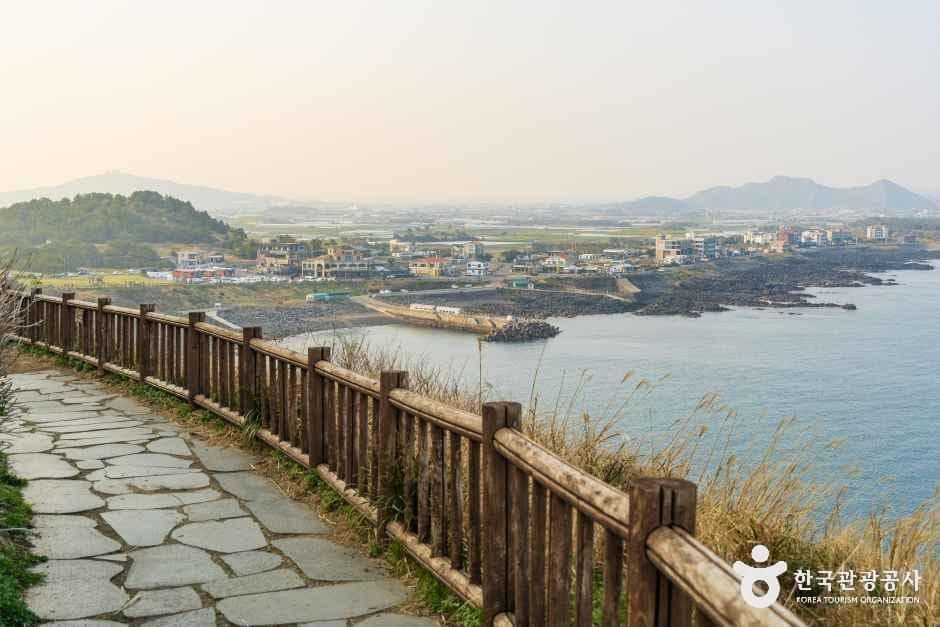 서귀포_송악산둘레길 (4).jpg