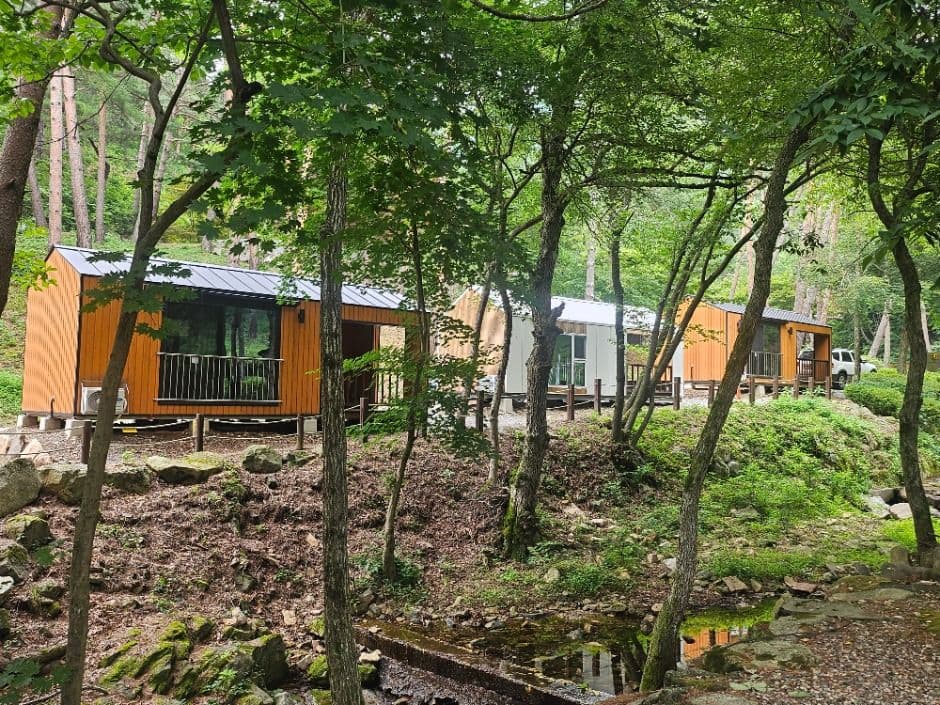 영양_국립검마산자연휴양림 (1)