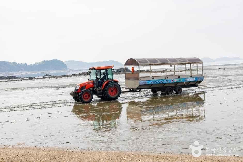 인천_옹진_선재도(선재도 어촌체험마을) (2)