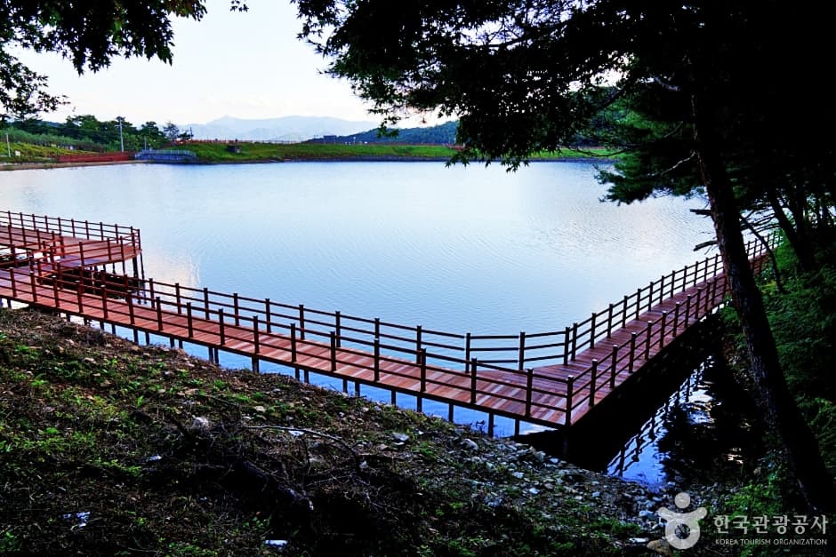 충북_제천_비룡담저수지 (5)