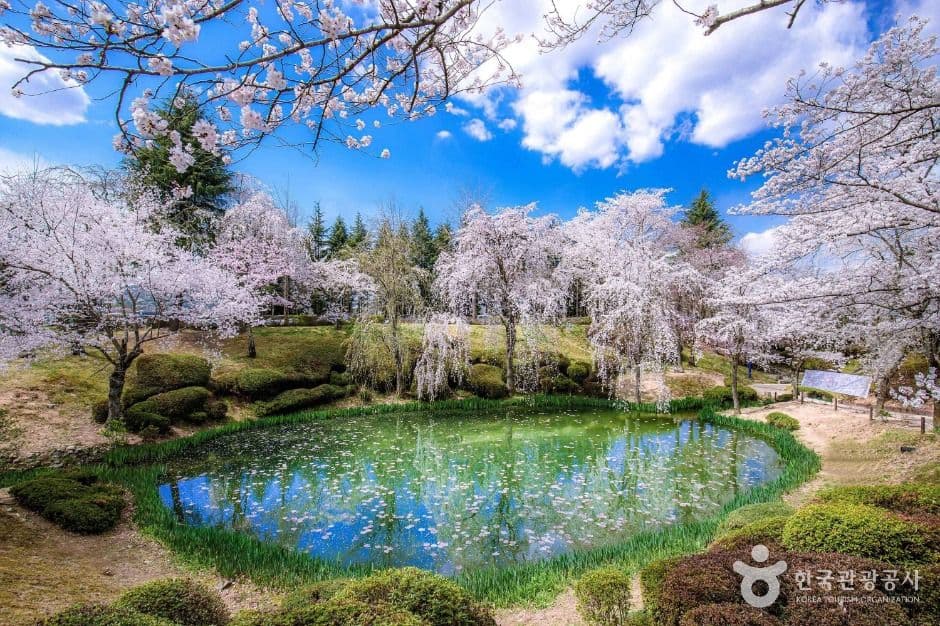경주_경주 보문관광단지 (2)
