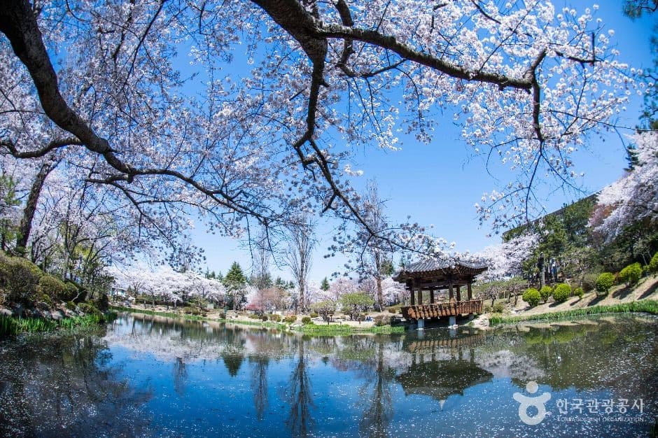 경주_경주 보문관광단지 (3)