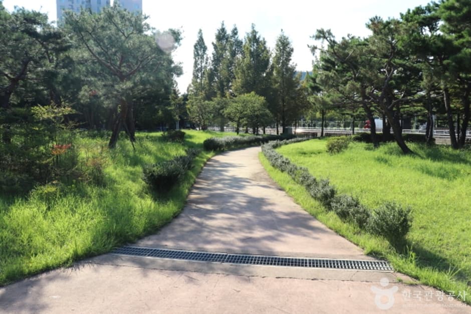 정부대전청사 자연마당 (12)