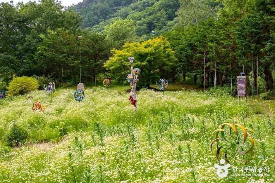 강원_평창_허브나라농원_외부_7.jpg