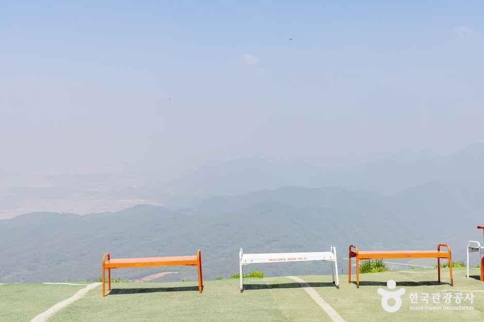 단양_단양 패러일번지 (2).jpg