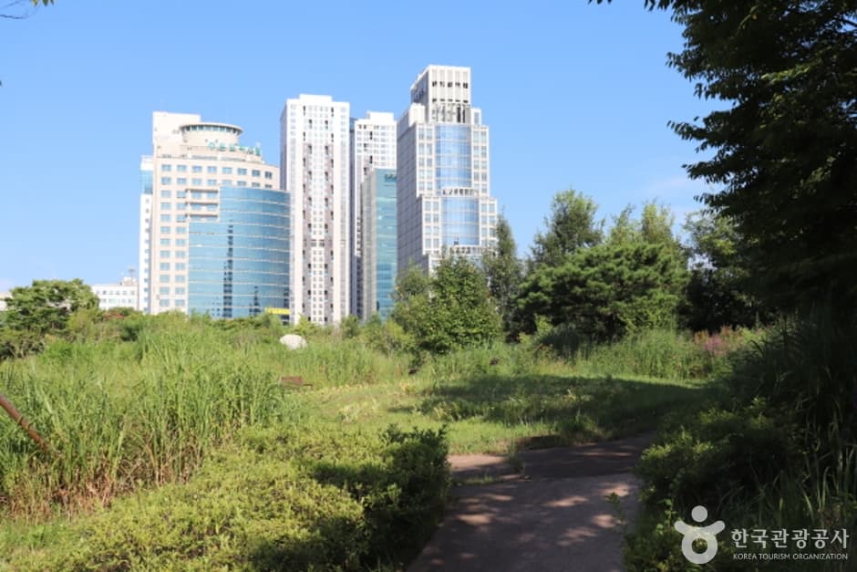 정부대전청사 자연마당 (13)