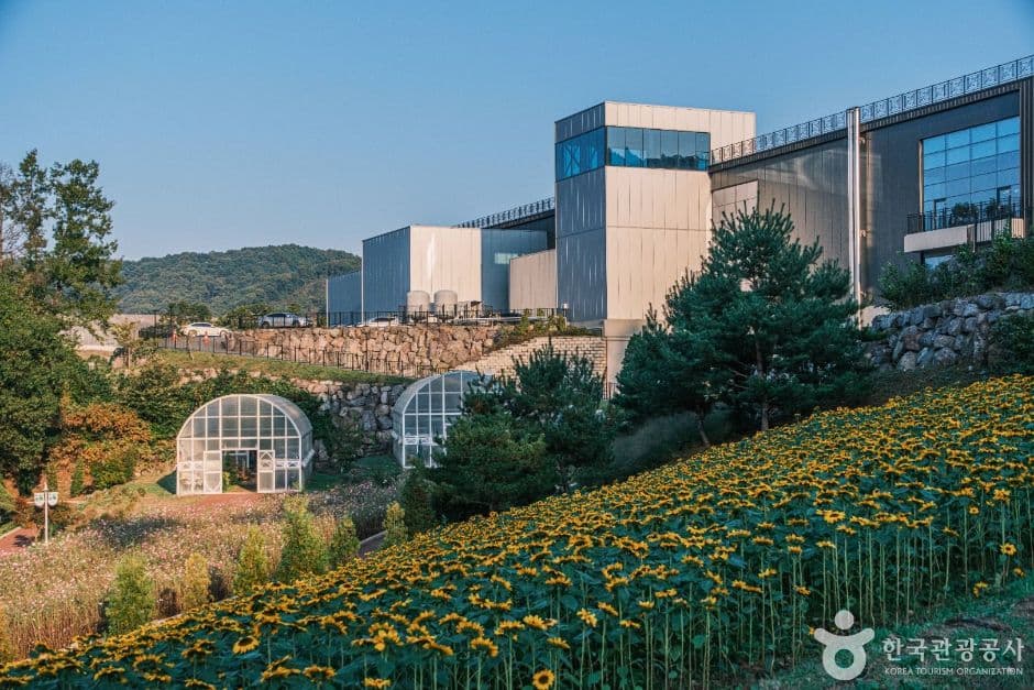 증평 에듀팜 (6)