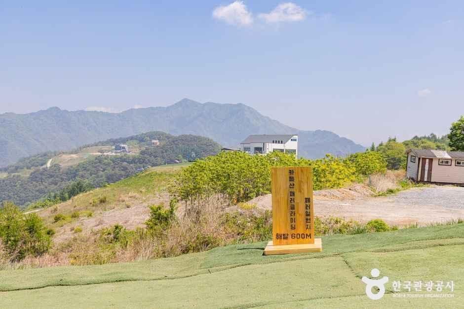 단양_단양 패러일번지 (3).jpg