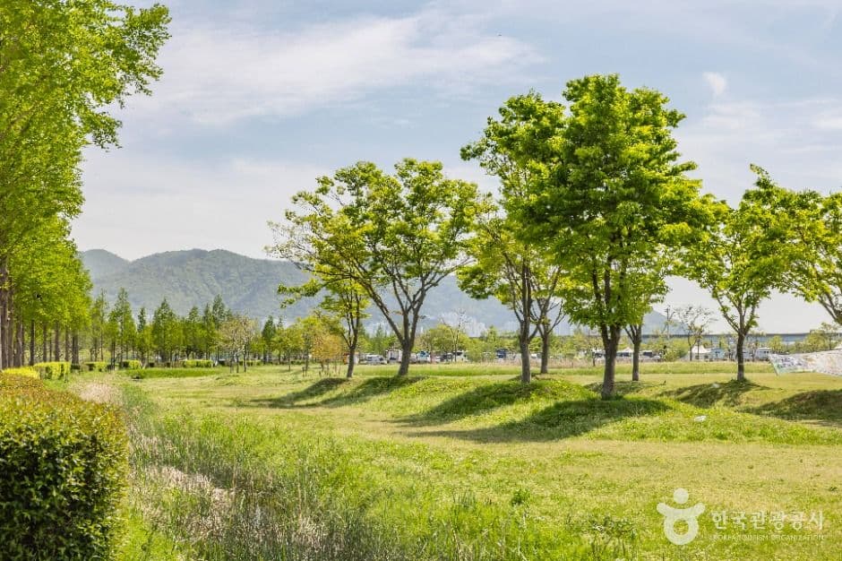 부산_삼락생태공원 (3)