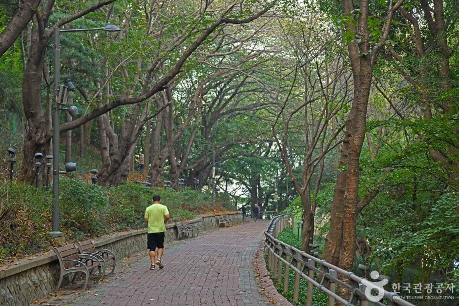 중구_자유공원(인천) (3)