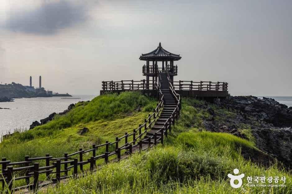 제주_닭머르해안길 (3).jpg