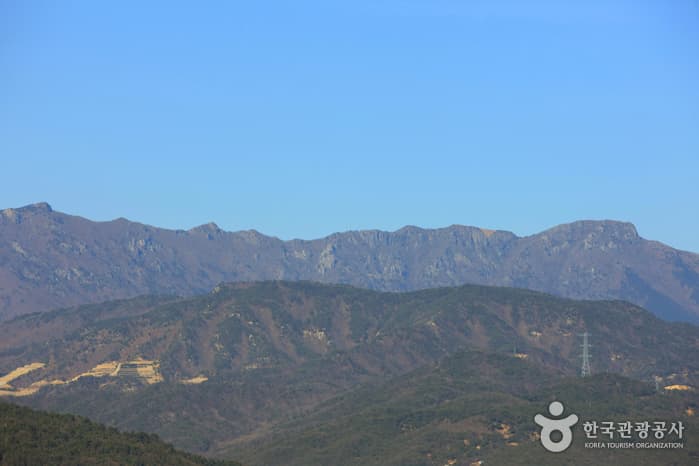 영축산_015