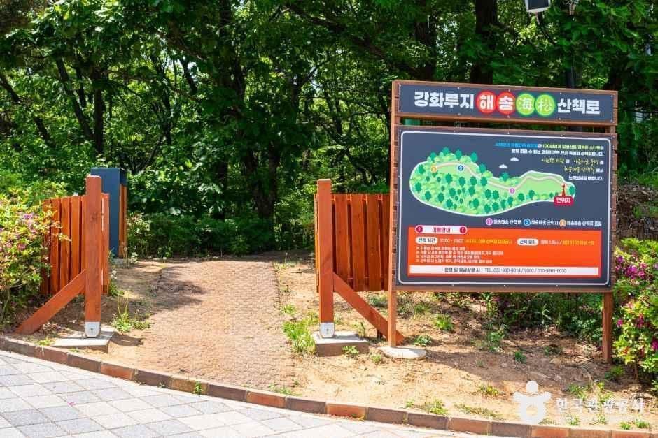 인천_강화_강화루지_외부_5.jpg
