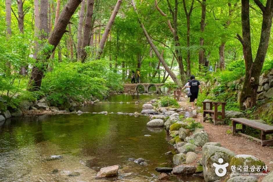 강원_평창_허브나라농원_외부_4.jpg