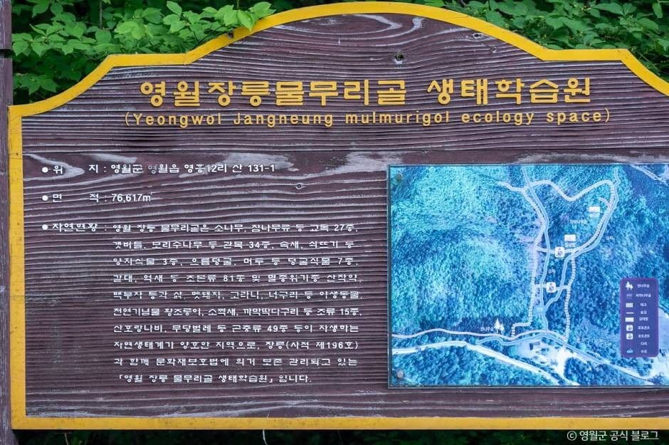 영월_물무리골생태습지 (13)