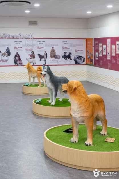경기_여주_반려마루_내부_2.jpg