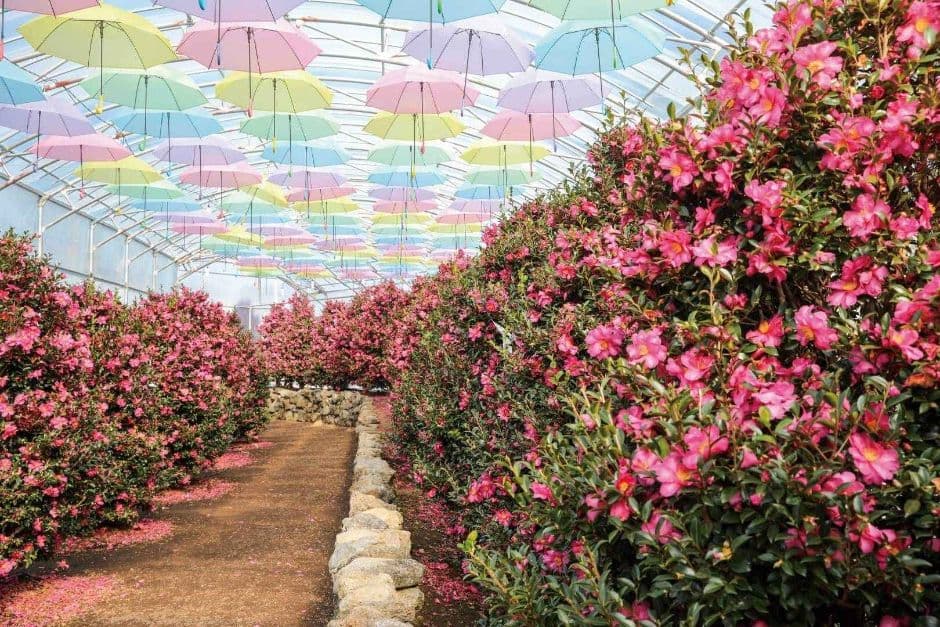제주_휴애리자연생활공원 (3)