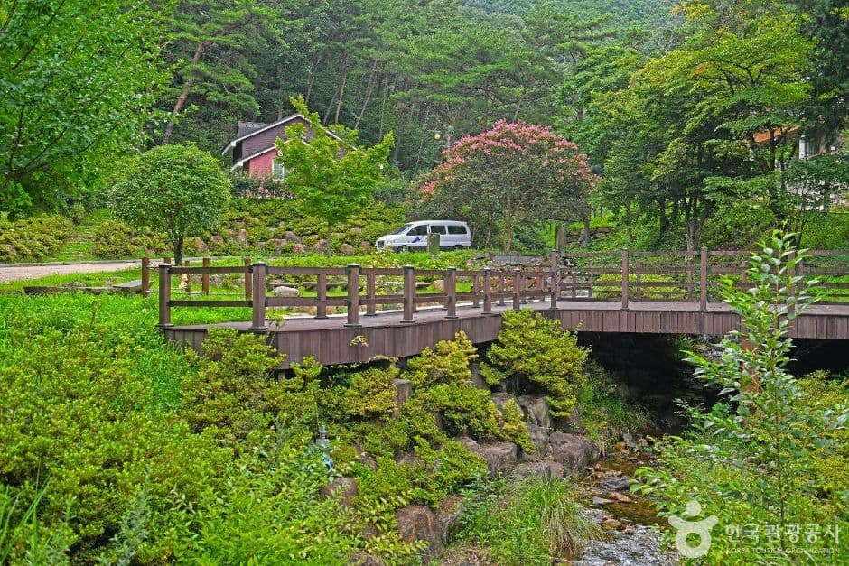 순천_순천자연휴양림 (4)